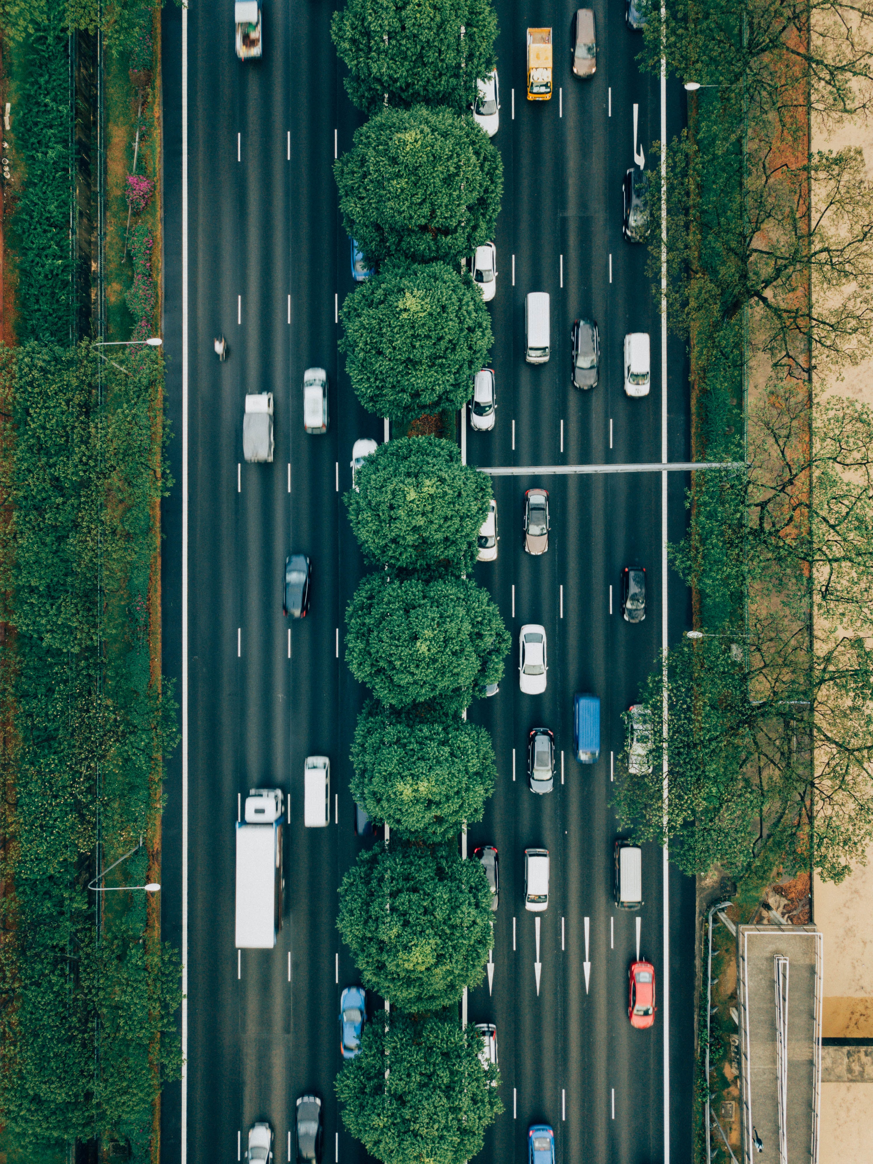 auto traffico alberi.jpg